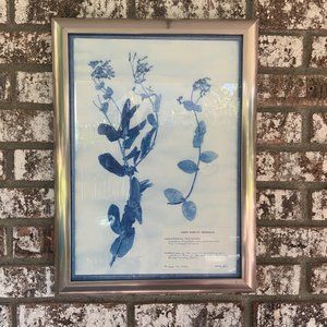 Blue and White Modern Classic Botanical Flower Framed Wall Art of Honeysuckle